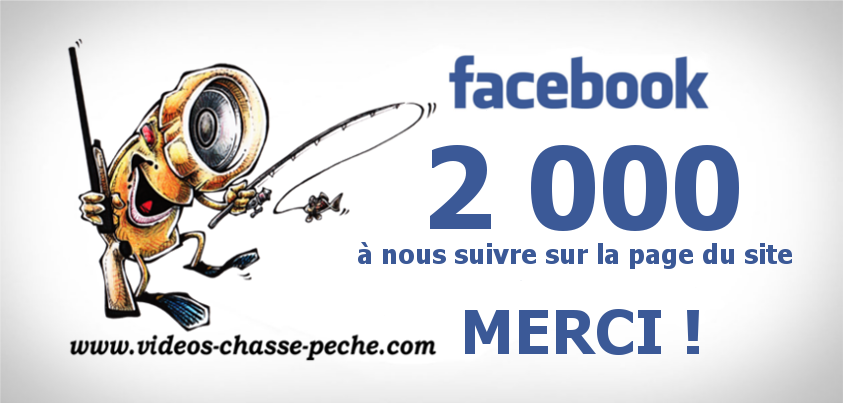Facebook VCP 2 000 "J'aime"
